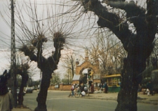 Cmentarz Katolicki w Białej Podlaskiej [fotografie]