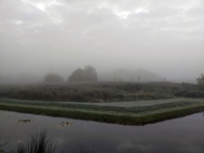 Widok z radziwiłłowskich wałów obronnych na dolinę Krzny