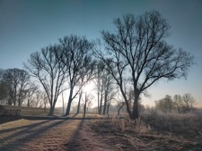 Okolice "parku radziwiłłowskiego" - 17 marca 2023 r. [fotografia]