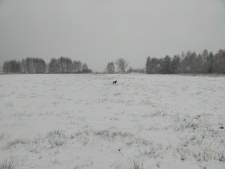 Łaka nad Krzną - 18 listopada 2023 r. [fotografia]