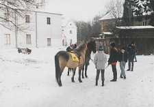 Park Radziwiłłowski [fotografia]