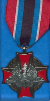 Brązowa odznaka "Zasłużony dla Ochrony Przeciwpożarowej" dla Waldemara Bałkowca