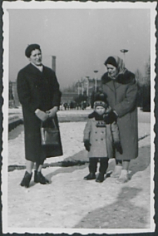 Palmiarnia w Poznaniu zimą [fotografia]