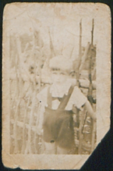 Czteroletni Zygmunt Więcierzewski [fotografia]