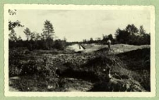 Prace melioracyjne w rejonie Krzny [dokument ikonograficzny]