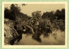 Rzeka Bug na terenie powiatu bialskiego [dokument ikonograficzny]