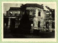 Ruiny pałacu w Neplach [dokument ikonograficzny]