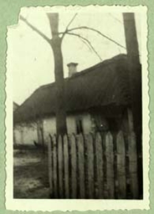 Drewniana chata w Dobryniu [dokument ikonograficzny]