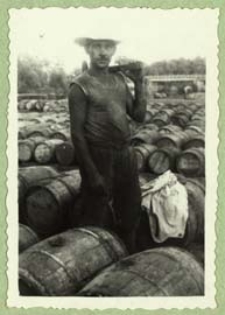 Kwaszarnia ogórków w Terespol - przygotowanie beczek do zatopienia [dokument ikonograficzny]