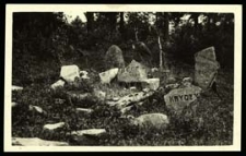 Cmentarz tatarski w Studziance [dokument ikonograficzny]