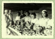 Wytwórnia ogórków konserwowych w Terespolu [dokument ikonograficzny]