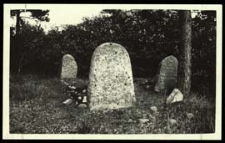 Cmentarz tatarski w Studziance [dokument ikonograficzny]