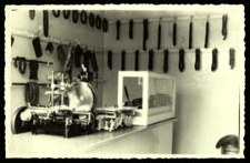 Sklep Biernackiego przy Placu Wolności w Białej Podlaskiej [dokument ikonograficzny]