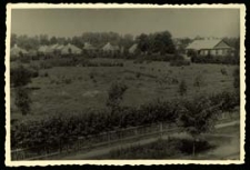 Nowy park miejski w Terespolu [dokument ikonograficzny]