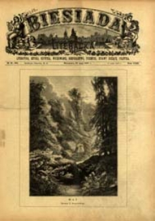 Biesiada Literacka : literatura, sztuka, krytyka, wychowanie, gospodarstwo, przemysł 1887 t. 23 (595)