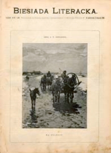 Biesiada Literacka 1899 t. 48 nr 44 (1245)