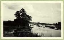 Rozlewiska rzeki Klukówki k. Roskoszy [dokument ikonograficzny]