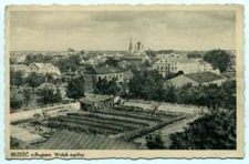 Brześć n./B - widok ogólny [dokument ikonograficzny]