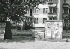 Plakaty wyborcze w Białej Podlaskiej [dokument ikonograficzny]