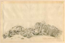 Głazy pod Żytomierzem [dokument ikonograficzny]