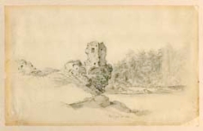 Pejzaż z ruinami w okolicach miejscowoci Zwiahel (obecnie Nowogród Wołyński) [dokument ikonograficzny]