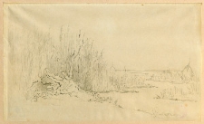 Stogi na mokradłach [dokument ikonograficzny]