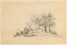 Pejzaż z drzewami i chatą [dokument ikonograficzny]