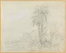 Pejzaż z palmami, ruinami i studnią w Bordigherze na Riwierze Włoskiej [dokument ikonograficzny]