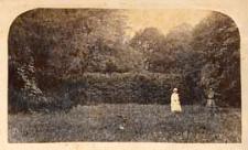 Park dworski w Romanowie [dokument ikonograficzny]