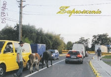 Zaproszenie : II Bialski Festiwal Okołoliteracki "Drążyć to, co dookoła" z Andrzejem Stasiukiem, 16 i 18 października 2010 r.