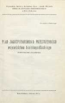 Plan zagospodarowania przestrzennego województwa bialskopodlaskiego : podstawowe założenia