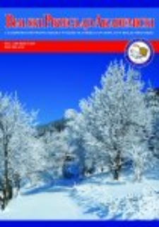 Bialski Przegląd Akademicki : czasopismo Państwowej Szkoły Wyższej im. Papieża Jana Pawła II w Białej Podlaskiej R. 1 (2010) nr 3