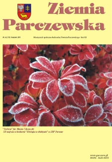 Ziemia Parczewska : miesięcznik społeczno-kulturalny powiatu parczewskiego R. 12 (2013) nr 4 (131)