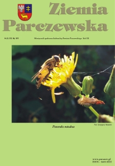 Ziemia Parczewska : miesięcznik społeczno-kulturalny powiatu parczewskiego R. 12 (2013) nr 5 (132)