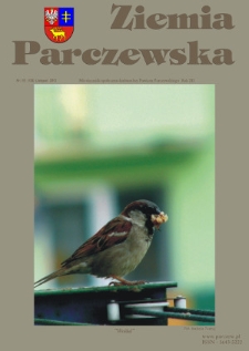 Ziemia Parczewska : miesięcznik społeczno-kulturalny powiatu parczewskiego R. 12 (2013) nr 11 (138)