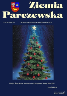 Ziemia Parczewska : miesięcznik społeczno-kulturalny powiatu parczewskiego R. 12 (2013) nr 12 (139)
