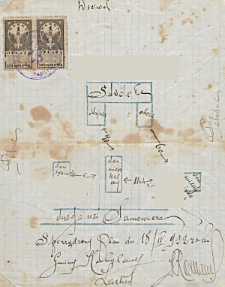 Plan gospodarstwa we wsi Samowicze, gm. Kobylany