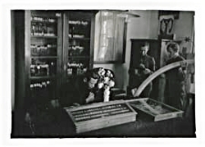 Sala muzealna w Państwowym Gimnazjum Męskim im. J. I. Kraszewskiego w Białej Podlaskiej