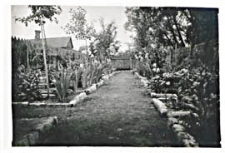 Szkolny ogród botaniczny przy Państwowym Gimnazjum Męskim im. J. I. Kraszewskiego w Białej Podlaskiej