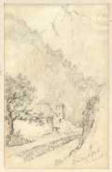 Droga w górach [dokument ikonograficzny]