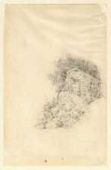 Drewniany szałas [dokument ikonograficzny]