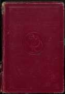 Djabeł : powieść z czasów Stanisława Augusta. T. 2