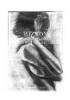 Program Międzyrzeckiego Zjazdu Miłośników Fantastyki WIZKON 2002