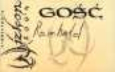 Identyfikator uczestnika konwentu Wizkon 2004