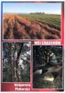 Mój Grabanów [pocztówka]