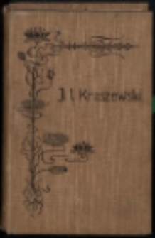 Boży gniew : powieść historyczna (czasy Jana Kazimierza). T. 2