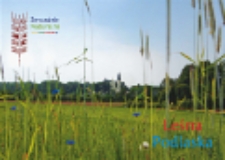 Ludwinów - widok na Bazylikę Matki Boskiej Leśniańskiej w Leśnej Podlaskiej [pocztówka]