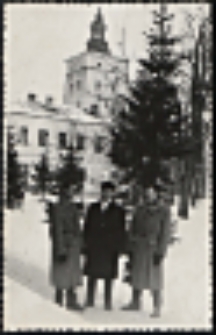 Widok z parku na wieżę zespołu pałacowego Radziwiłłów w Białej Podlaskiej [fotografia]