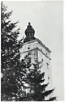 Widok z parku na wieżę zespołu pałacowego Radziwiłłów w Białej Podlaskiej [fotografia]