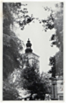 Widok z parku na wieżę zespołu pałacowego Radziwiłłów w Białej Podlaskiej [fotografia]
